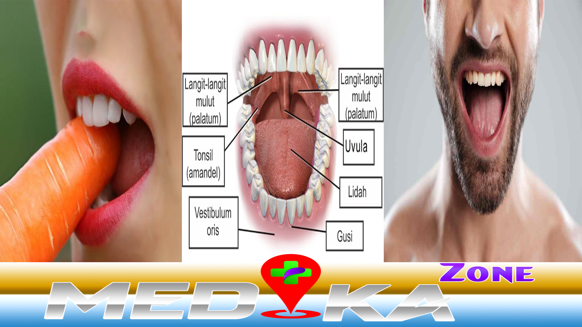 Mengenali Mulut Fungsi dan Cara Menjaga nya