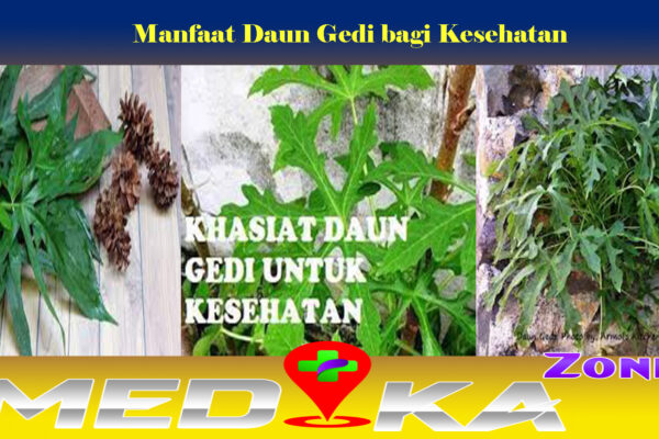 Manfaat Daun Gedi bagi Kesehatan