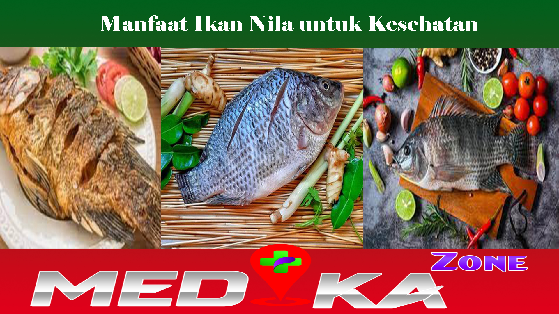 Manfaat Ikan Nila untuk Kesehatan