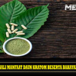 Kenali Manfaat Daun Kratom Beserta Bahayanya