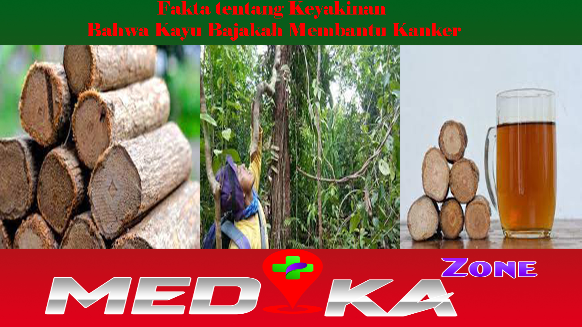 Fakta tentang Keyakinan Bahwa Kayu Bajakah Membantu Kanker