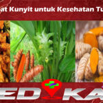 Manfaat Kunyit untuk Kesehatan Tubuh