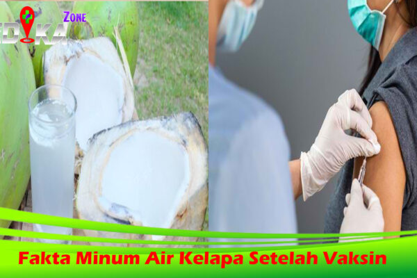 Fakta Minum Air Kelapa Setelah Vaksin