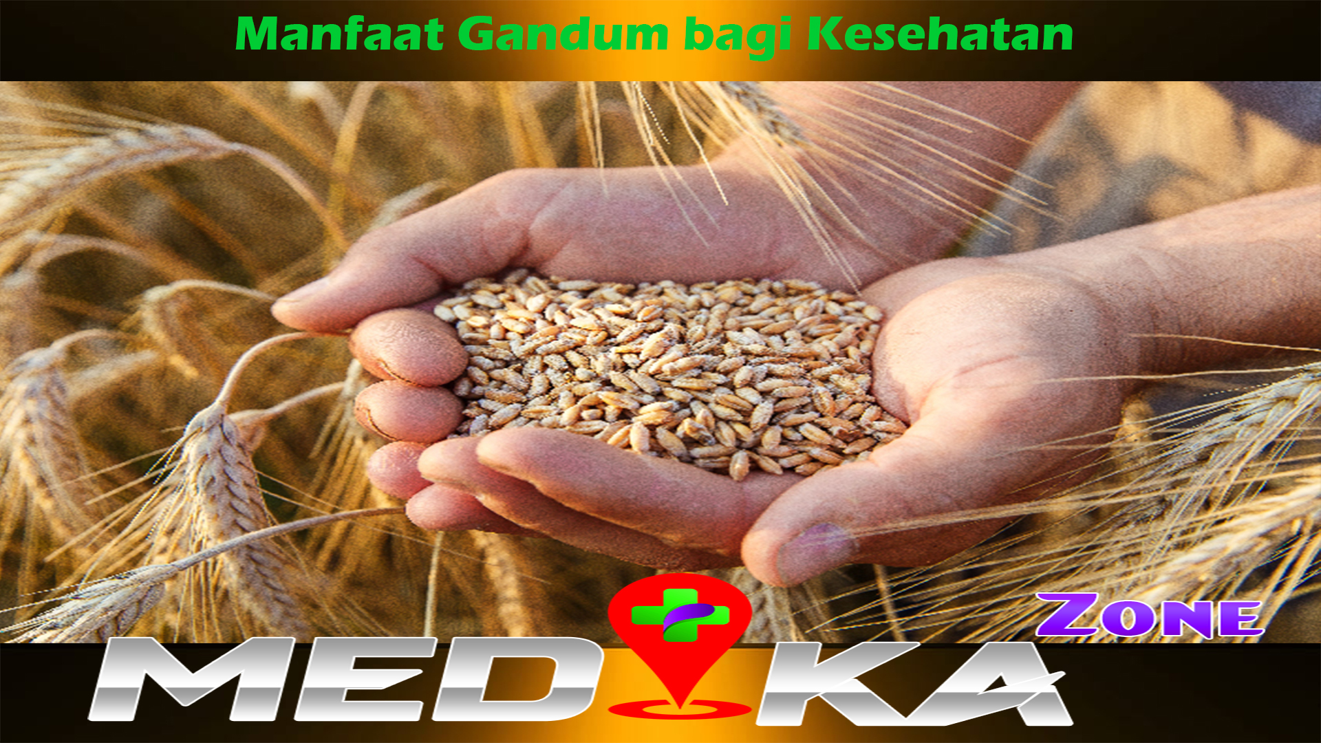 Manfaat Gandum bagi Kesehatan