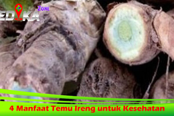 4 Manfaat Temu Ireng untuk Kesehatan