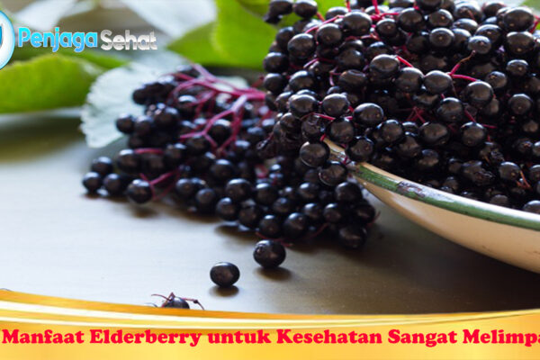 Manfaat Elderberry untuk Kesehatan Sangat Melimpah