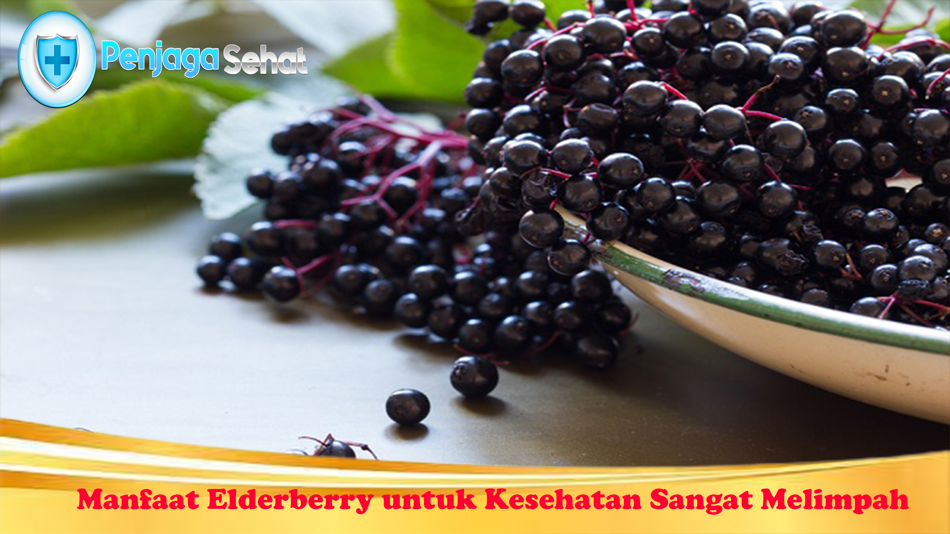 Manfaat Elderberry untuk Kesehatan Sangat Melimpah