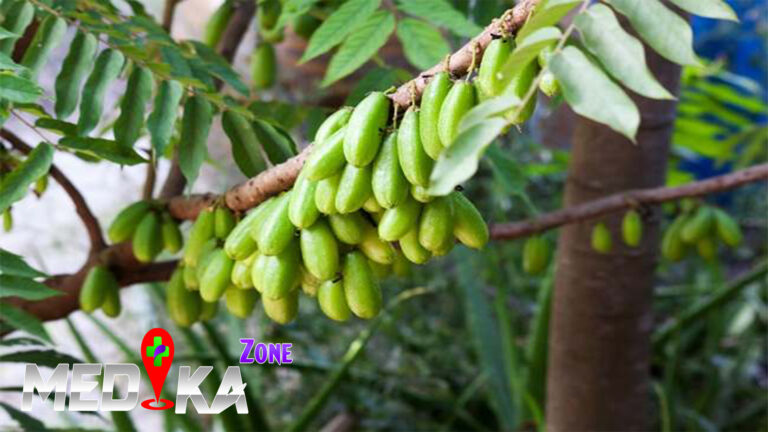 Manfaat Flavonoid untuk Kesehatan