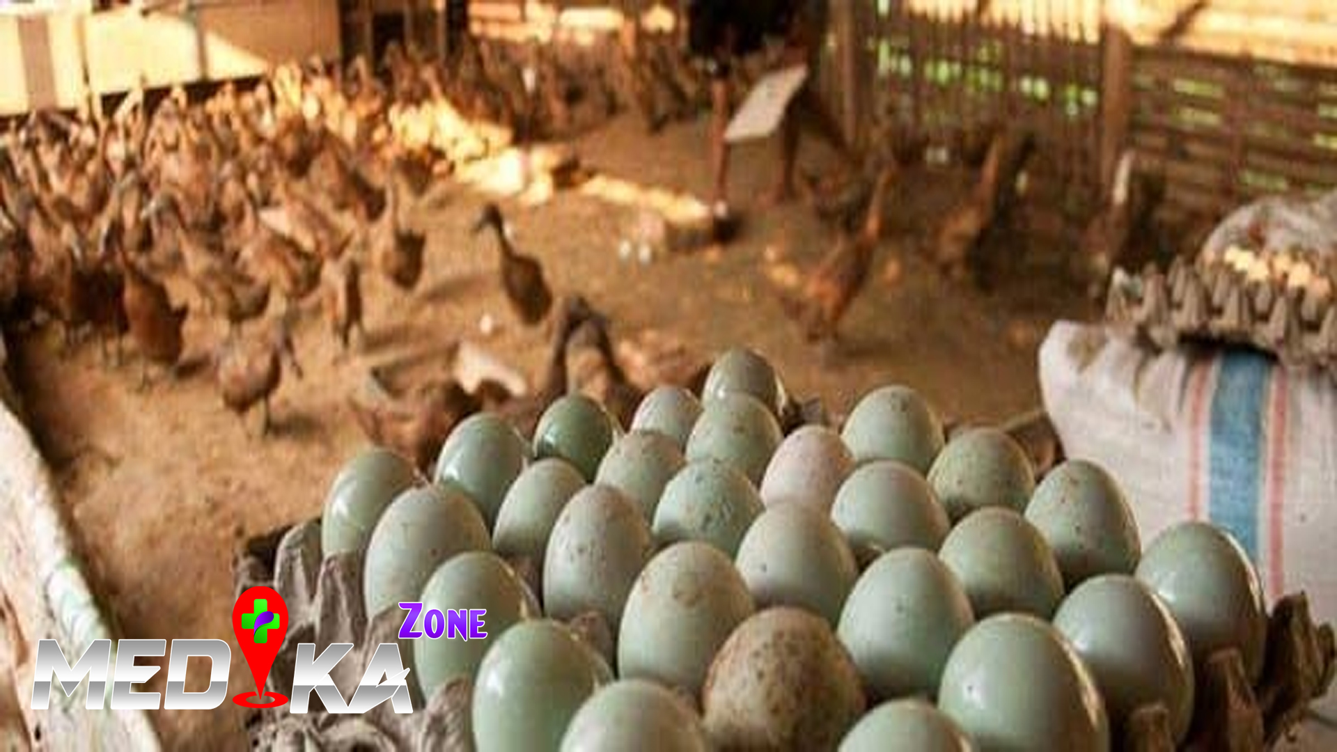 Kelebihan dan Kekurangan Telur Bebek bagi Kesehatan