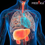 Cara Sederhana Menjaga Organ Dalam Tetap Sehat