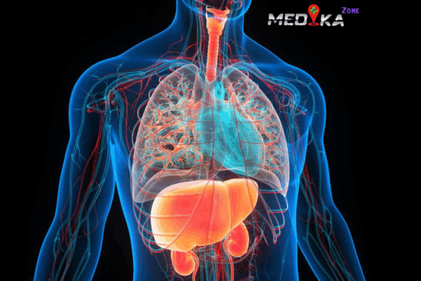 Cara Sederhana Menjaga Organ Dalam Tetap Sehat Cara Sederhana Menjaga Organ Dalam Tetap Sehat
