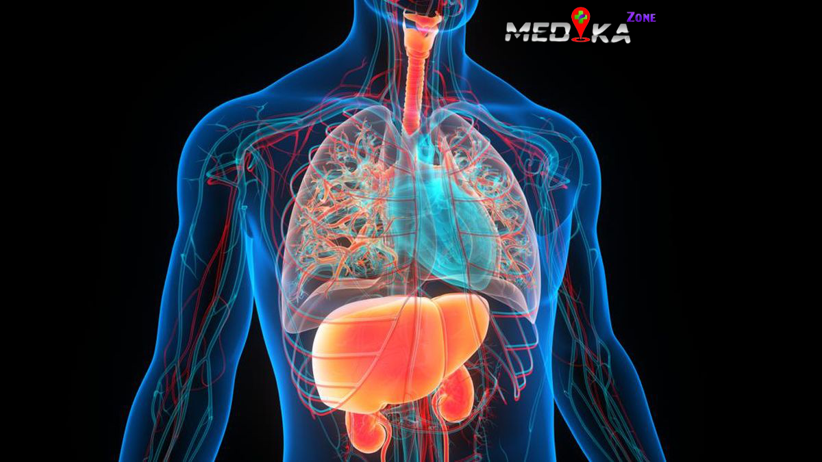 Cara Sederhana Menjaga Organ Dalam Tetap Sehat